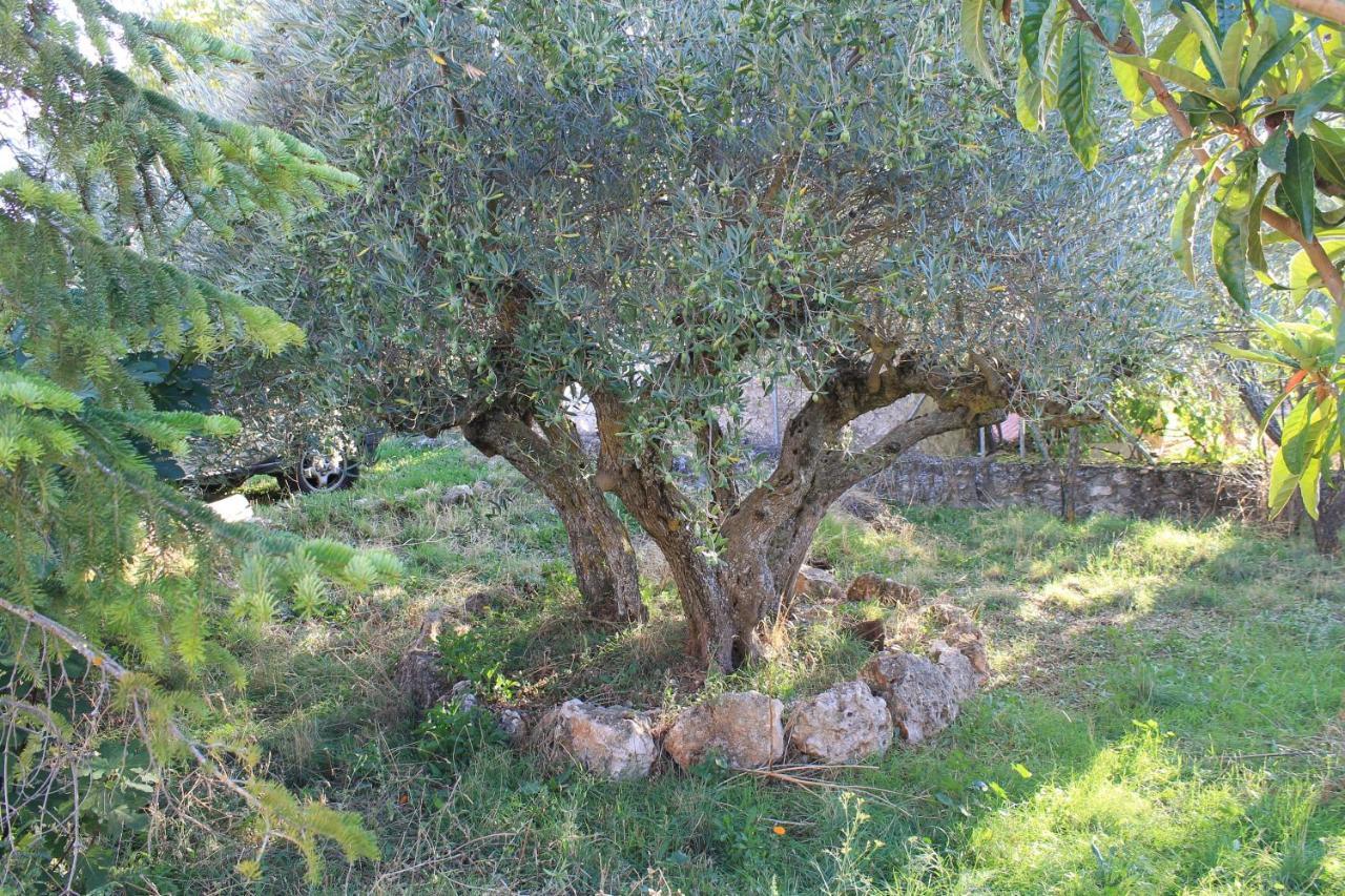 Casa Rural Baobab Romancos Exteriér fotografie