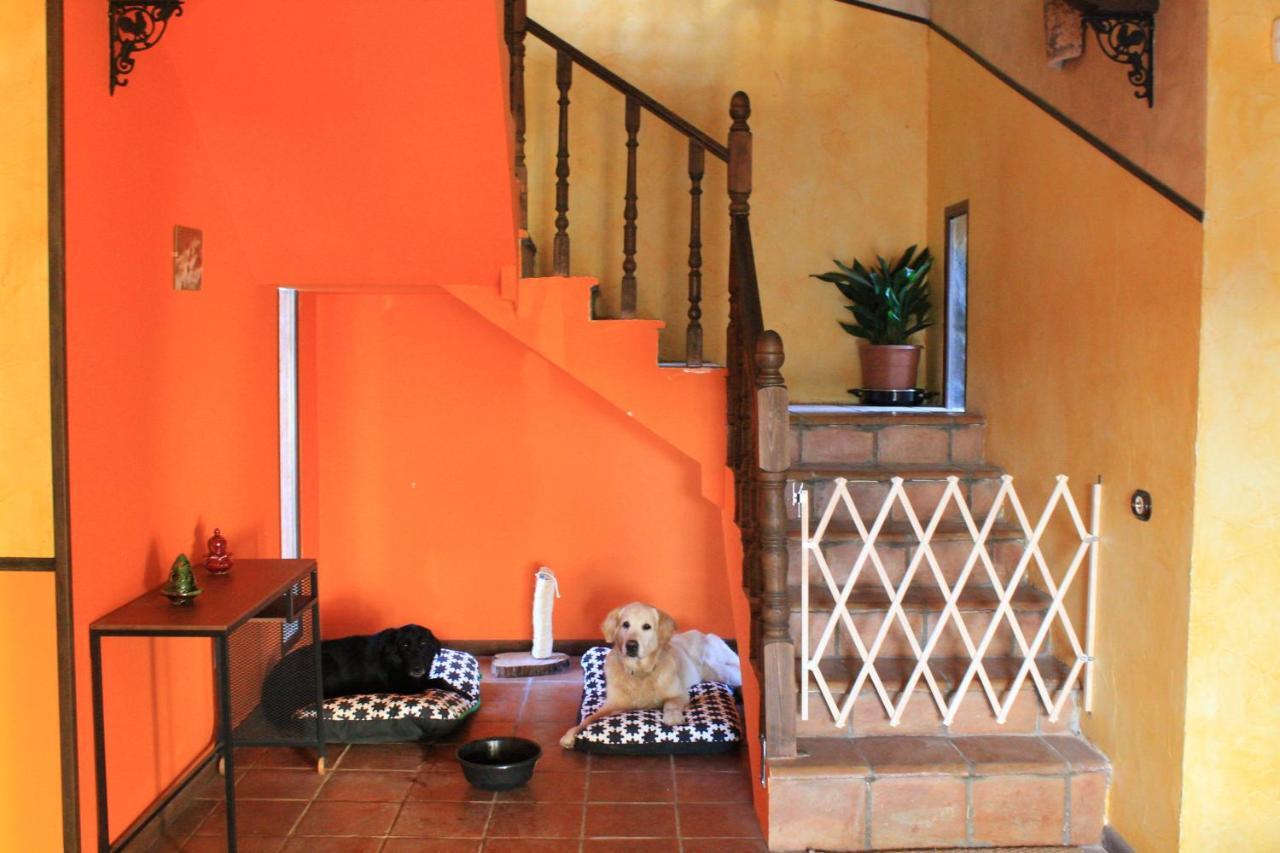 Casa Rural Baobab Romancos Exteriér fotografie